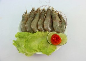 Raw Headless Shell-on White Shrimp